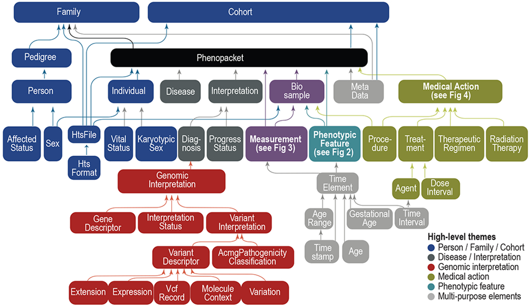 Phenopacket Schema