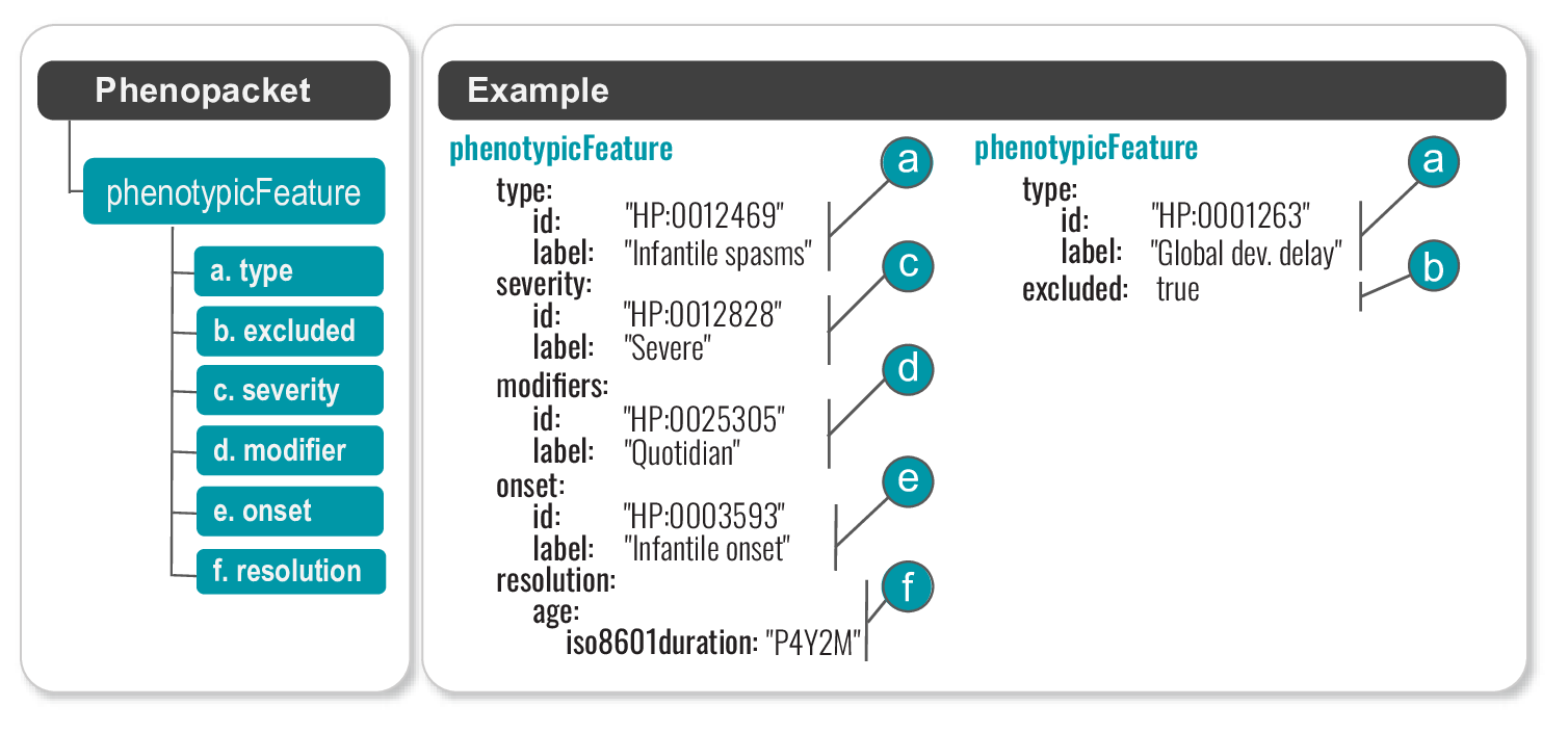 Phenopacket Schema